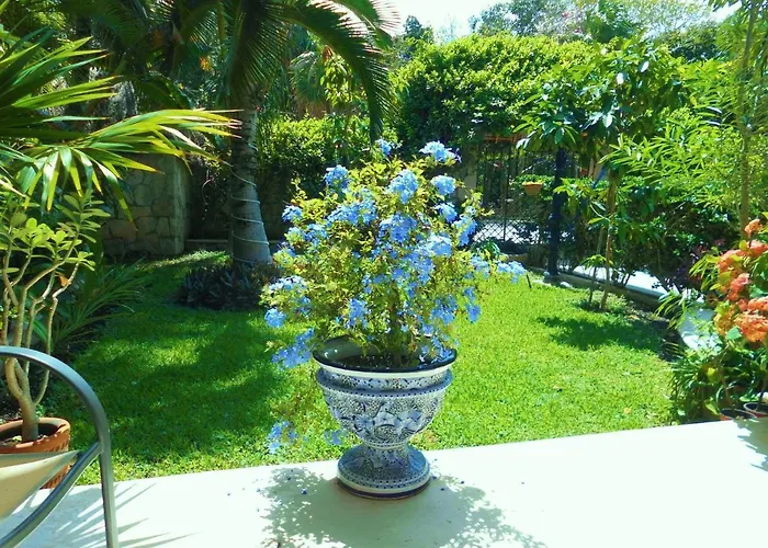Casa Gatos