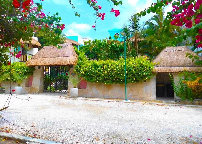 Casa Gatos *