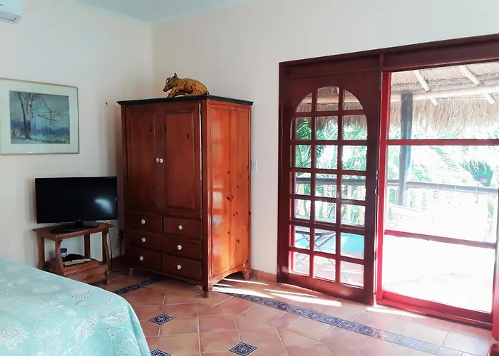 Casa Gatos