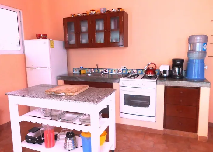 Casa Gatos *