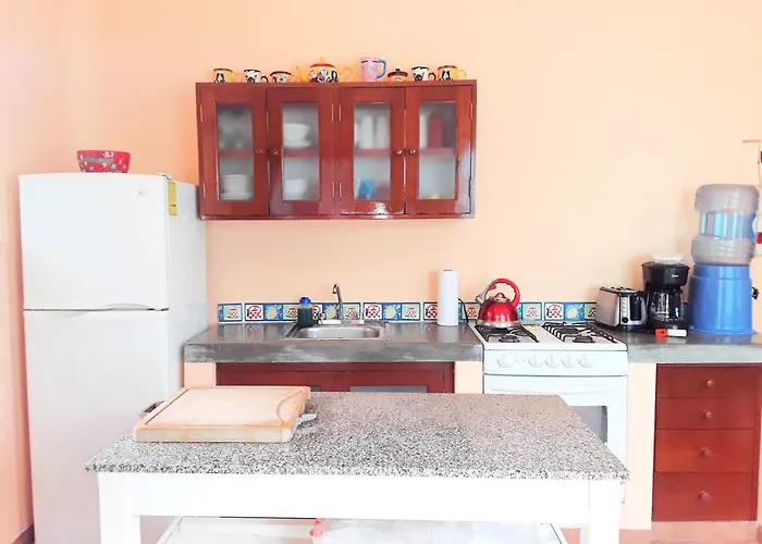 Casa Gatos *