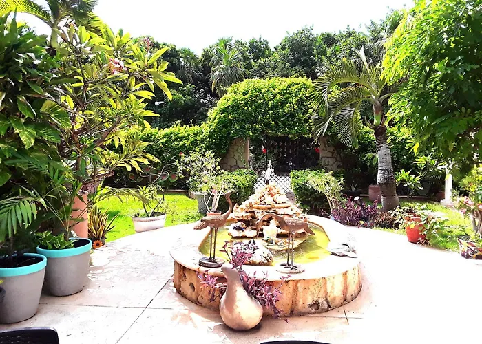 Casa Gatos * Akumal