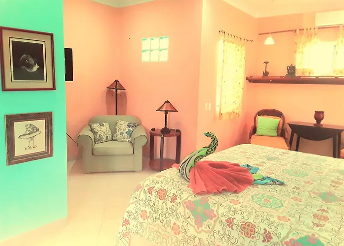 Casa Gatos Akumal