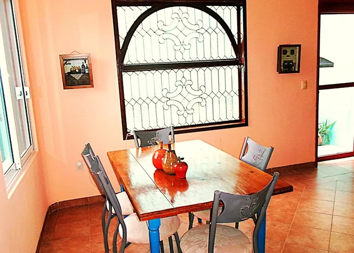 Casa Gatos
